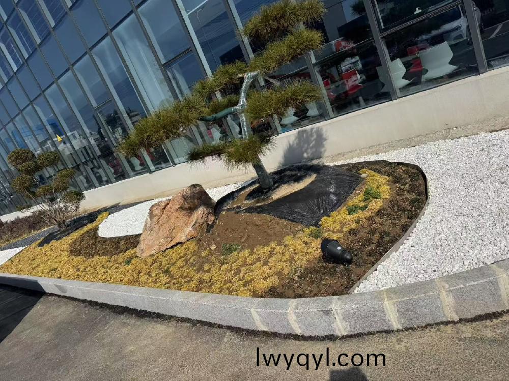 宿遷某(mou)瑞(rui)森企業(yè)(ye)廠房內(nèi)部(bu)綠化
